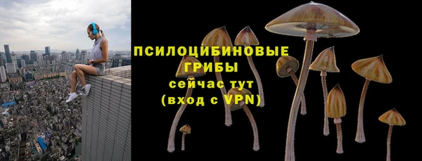 прущие крисы Киренск