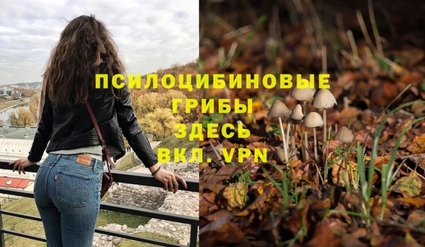 прущие крисы Киренск