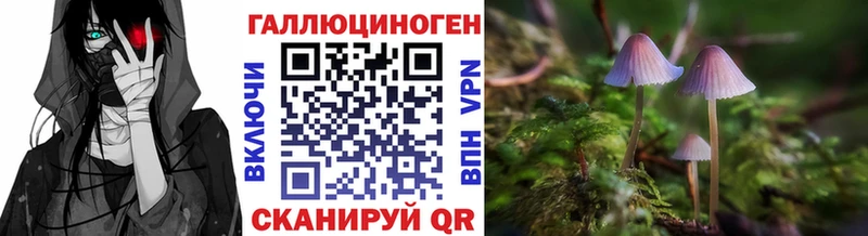 Купить  Междуреченск  Псилоцибиновые грибы Cubensis 